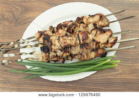 Shish kebab on charcoal in a white plate with onions