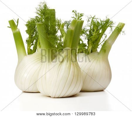 Fresh fennel bulb isolated on white background close up
