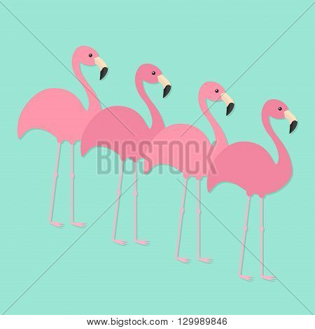 Four pink flamingo set. Exotic tropical bird. Zoo animal collection. Cute cartoon character. Decoration element. Flat design. Blue background. Isolated. Vector illustration