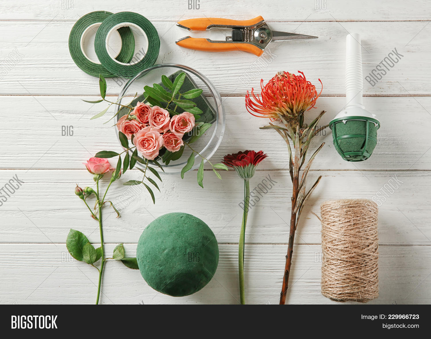 Florist Equipment Image & Photo (Free Trial) Bigstock