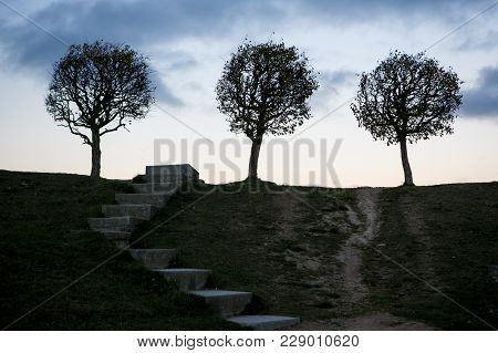 The Ladder To The Trees, To The Sky, Mystically, Loneliness In Society, The Way To Heaven, Kindred S