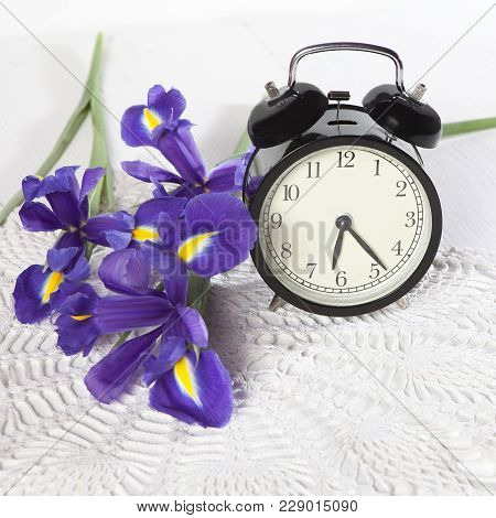 Violet Irises Xiphium -bulbous Iris, Sibirica- With Clock On White Background With Space For Text. T