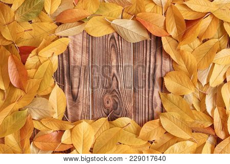 Frame With Yellow Autumn Leaves On Wooden Table Top View