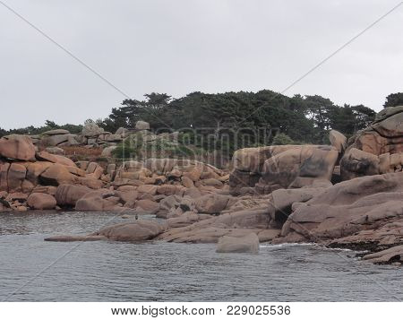 The Ile aux oiseaux is a small island of the Gulf of Morbihan belonging to the state. She is managed
