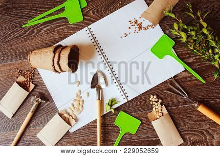 Spring Garden Flat Lay With Seeds In Handmade Envelopes, Note Book, Labels And Tools. Seeding Vegeta