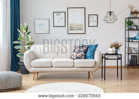 Sofa In Living Room Interior