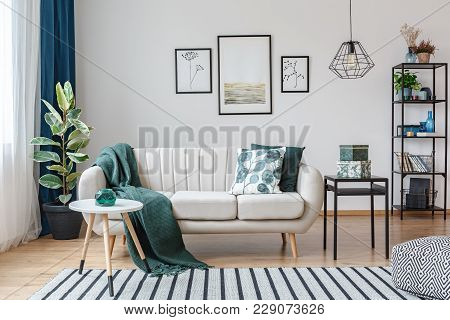 Posters In Cozy Apartment Interior