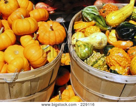 Calabazas y calabazas