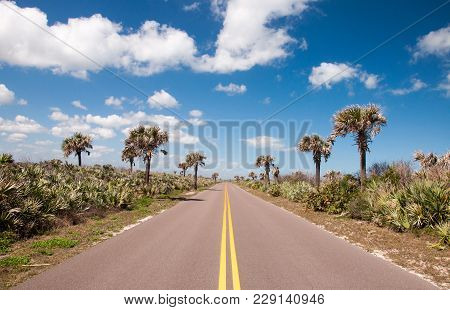 The Road Through Canaveral National Seashore In Florida.