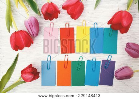 Multcolored Labels With Tulips On A White Background