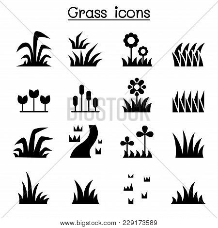 Grass Icon Set Vector Illustration Graphic Design