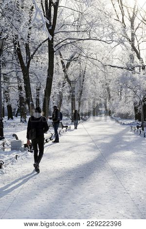 People Walk In The Winter Park, Trees Are Covered With Snow, Winter, Winter Landscape, Path In The P