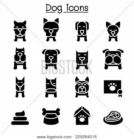 Dog Icon Set Vector Illustration Graphic Design