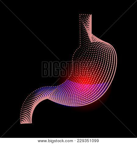 Stomach Icon. Human Internal Organs Symbol. Digestive System Anatomy.illustration Of The Stomach Ulc