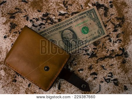 Wallet With Dollar On The Background Of Scattered Tea And Cinnamon