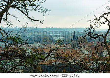 Prague Old Town Panorama On Rainy Day Through Branches Of Trees, Czech Republic