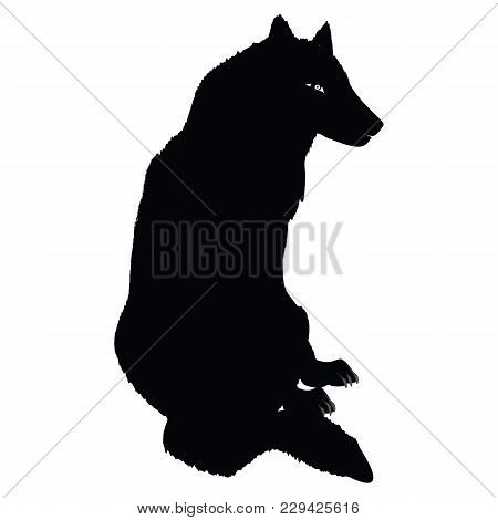 Young Wolf Sitting - Sitting In Profile - Isolated On White Background -art Creative Vector