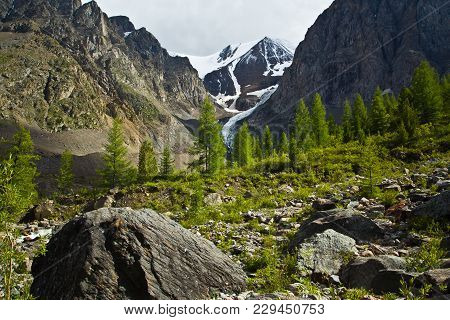 Beautifull  View To Snow Mountains And Green Trees With Sunlight And Sky   In Altaj, Russia  At The 