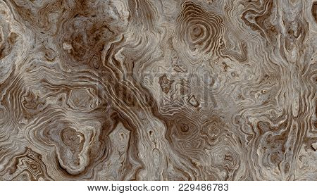 Texture Of Roots Of Tree With Wavy Lines And Age Rings. Abstract Background.