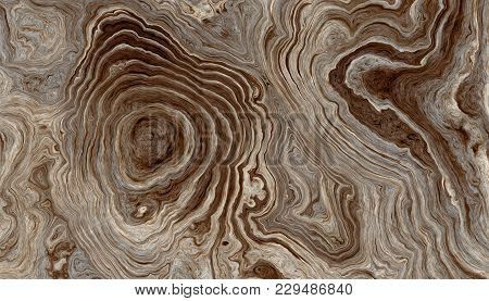 Texture Of Roots Of Tree With Wavy Lines And Age Rings. Abstract Background. 2d Illustration