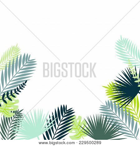 Tropical Leaves Vector Frame. Bottom Border Of Palm And Monstera Leaves Isolated