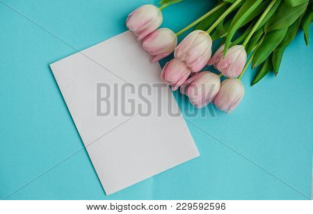 A Bouquet Of Tulips On A Blue Background. Gift. A Box With A Gift. International Women's Day. Holida