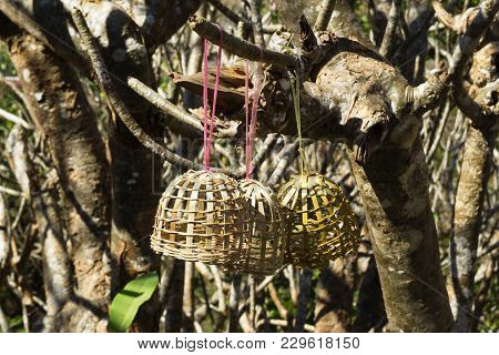 Small Wooden Cages For Birds On A Trees On A Pho Si Hill On A Background Of A Town. Luangprabang, La