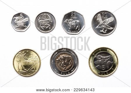 Coins From Botswana - Pula - On A White Background