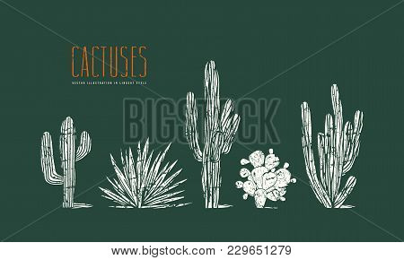 Stock Vector Set Of Hand Drawn Cactus. Illustration In Linocut Style. Different Forms Of Plants With