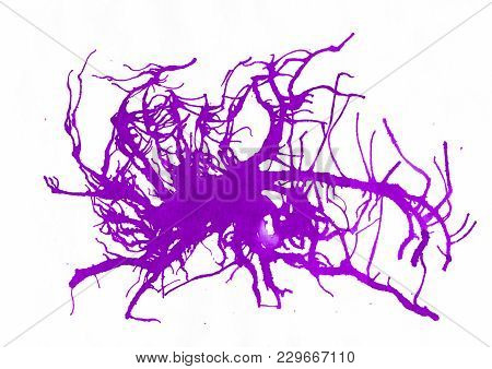 Violet Acrylic And Watercolor Painting Art, Abstract Background, Splashing, Paint, Ink, Drop, Stain