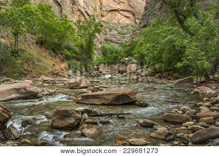 The View Of The Upstream Portion Of The Virgin River In Zion National Park, Utah, As It Emerges From
