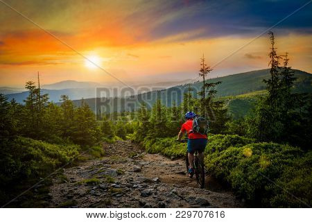 Mountain biker riding at sunset on bike in summer mountains forest landscape. Man cycling MTB flow trail track. Outdoor sport activity.