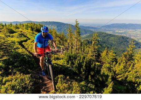 Mountain biker riding on bike in summer mountains forest landscape. Man cycling MTB flow trail track. Outdoor sport activity.