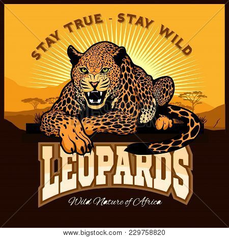 Vector Jaguar Leopard Logo Emblem Symbol On Light Background
