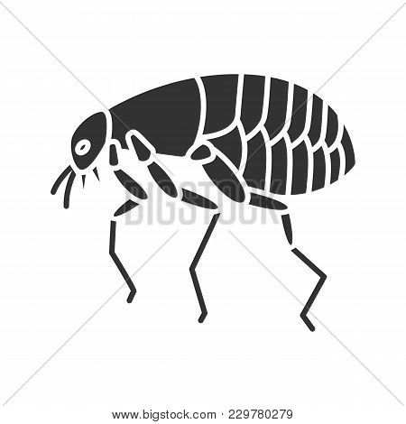 Flea Glyph Icon. Pets Parasite. Silhouette Symbol. Negative Space. Vector Isolated Illustration