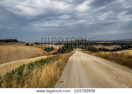 Country Landscape Along The Road From Asciano To Torre A Castello, Siena, Tuscany, Italy, At Summer