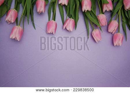 Pink Tulips Bouquet, Over Purple Background With Copy Space. Top View. Flat Lay.