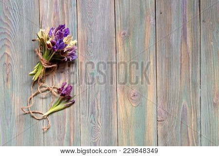 A Bouquet Of Tender Field Irises (iridodictyum) Connected By A Rope On A Wooden Background Close Up