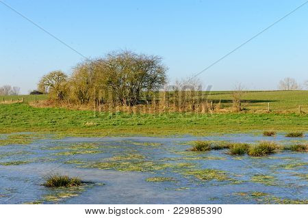 A Thin Layer Of Frost Covers The Country Side In East-flanders. Late Morning, On A Winter Afternoon.