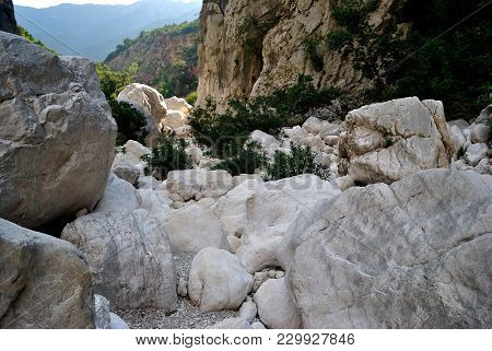 Boulders At The Entrance Of Gorropu Canyon