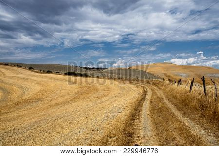 Country Landscape Along The Road From Asciano To Torre A Castello, Siena, Tuscany, Italy, At Summer