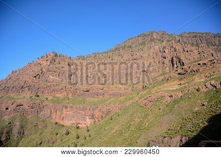 Spanish View Landscape In Gran Canaria Tropical Volcanic Canary Islands Spain
