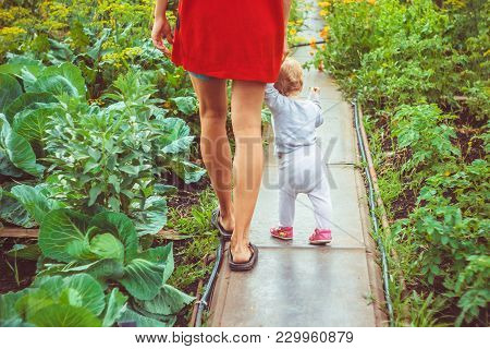 The Child Learns To Walk In The Park Barefoot On The Grass