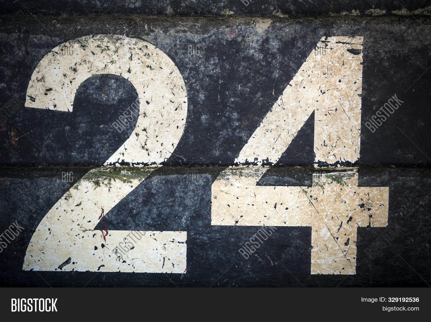 Фото Номер 20