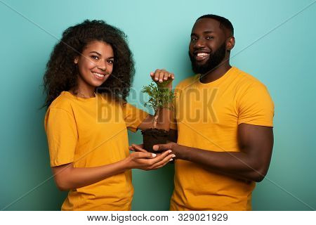 Happy Couple Protect A Small Tree. Concept Of Forestation, Ecology And Conservation
