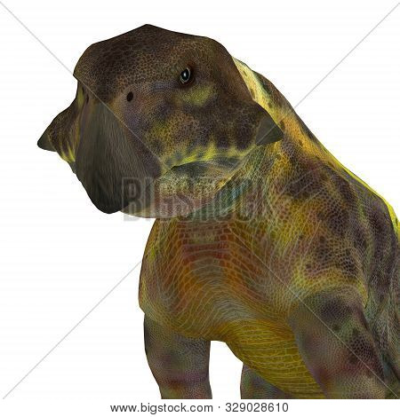 Psittacosaurus Dinosaur Head 3d Illustration - Psittacosaurus Was A Herbivore Ceratopsian Dinosaur T