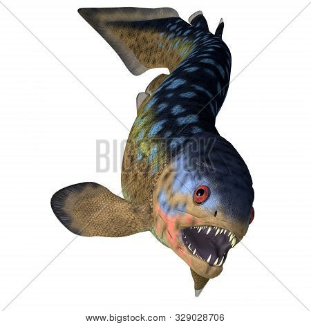 Rhizodus Fish Teeth 3d Illustration - Rhizodus Was A Carnivorous Predator Fish That Lived In Freshwa