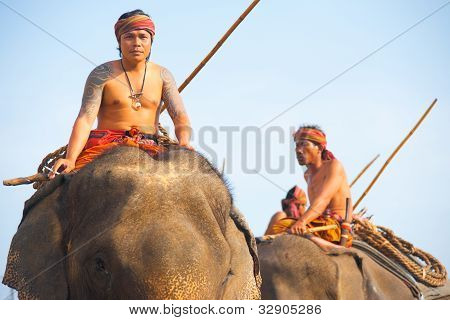 Elefant Trainer HÃ¶henflug