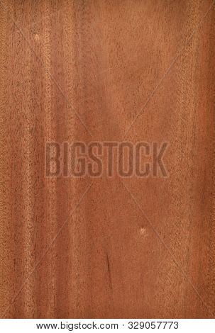 Natural wooden texture background. Sapele wood. Entandophragma cylindricum