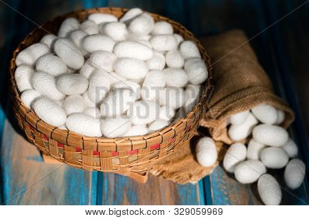 White Silk Cocoon In A Bamboo Basket With Sack